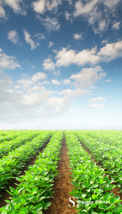 Adsız tasarım - 2025-12-08T153221.671