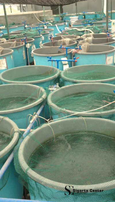 Adsız tasarım - 2025-12-08T153606.732